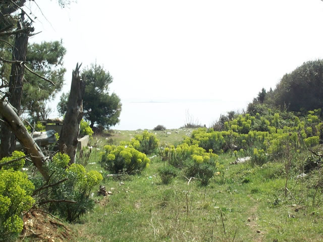 Ilovik 21