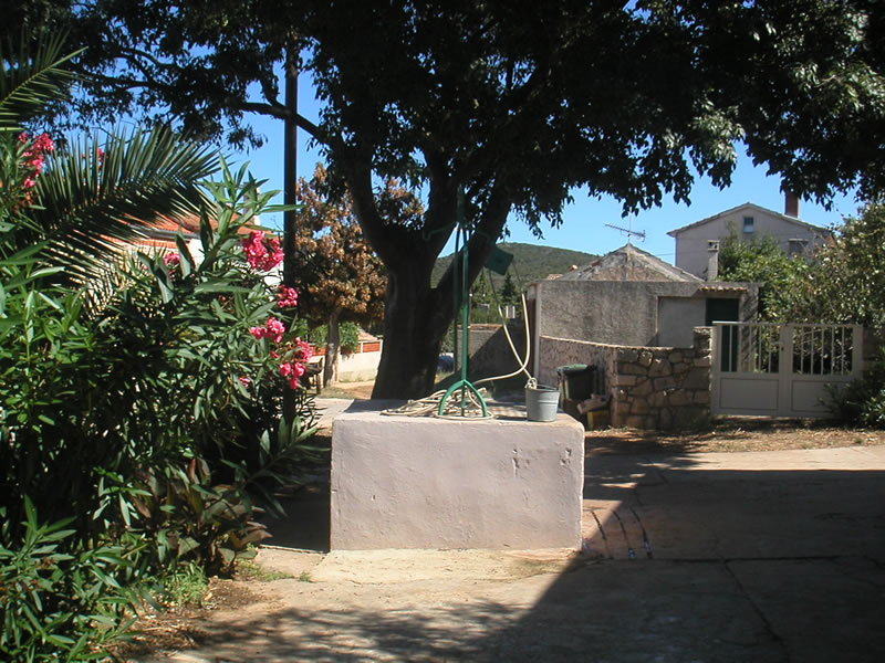 Ilovik 41